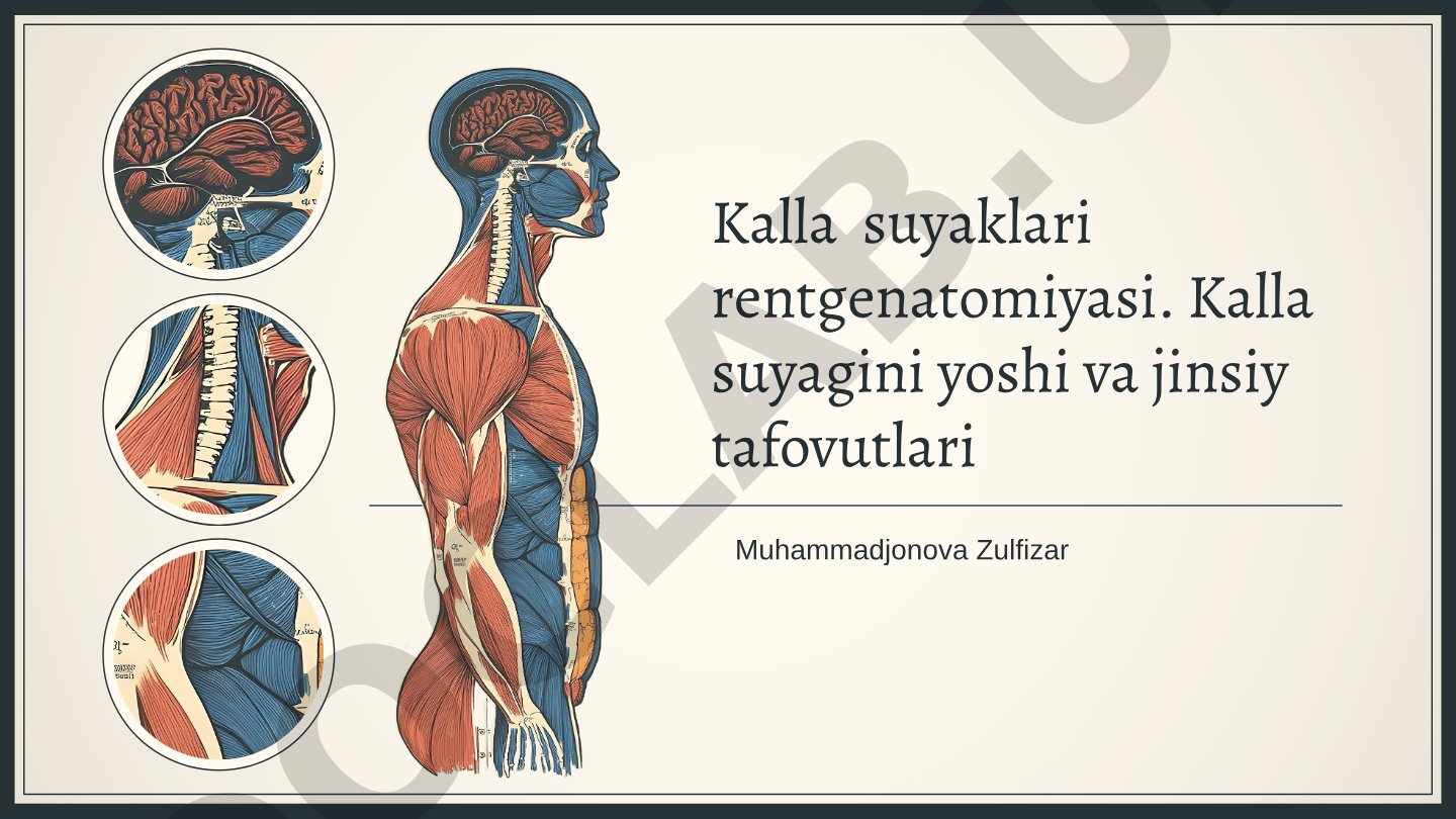 Kalla suyaklari rentgenatomiyasi. Kalla suyagini yoshi va jinsiy tafovutlari