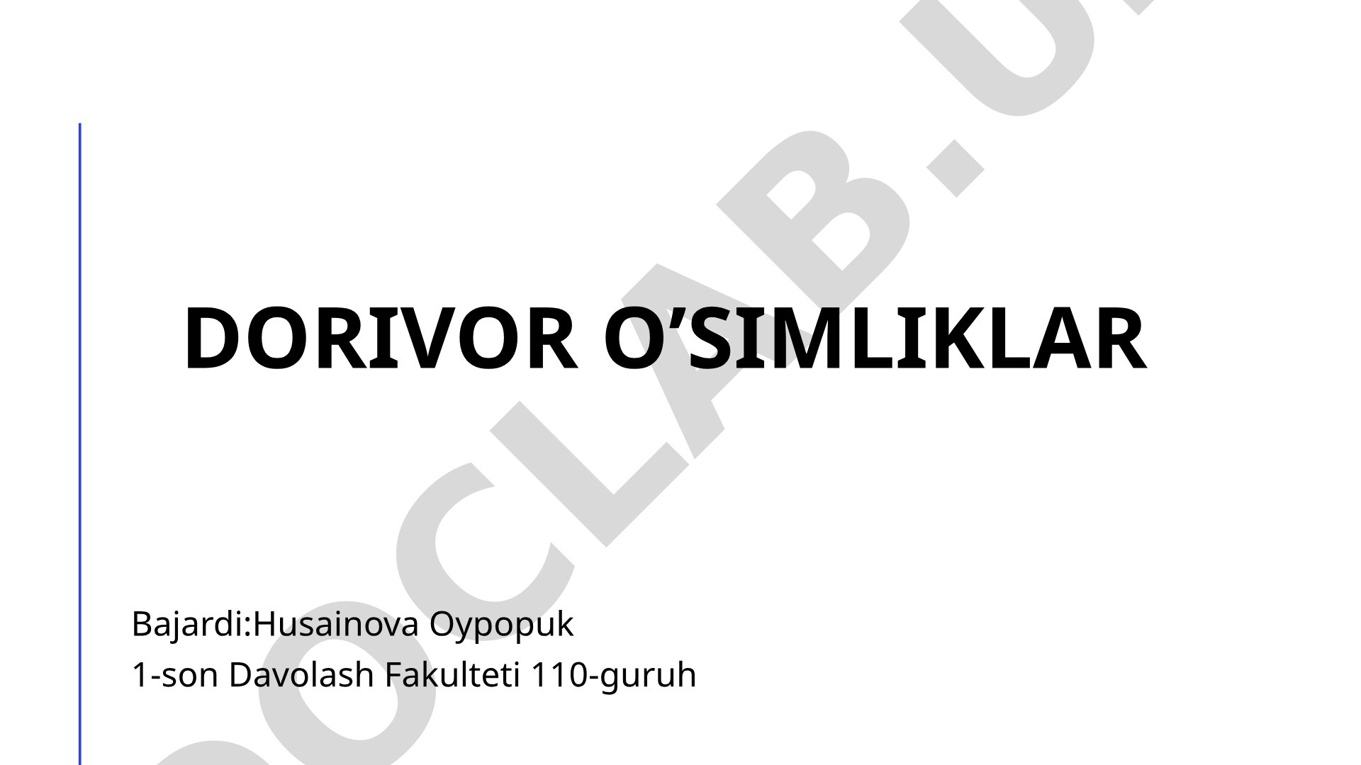 Dorivor o'simliklar