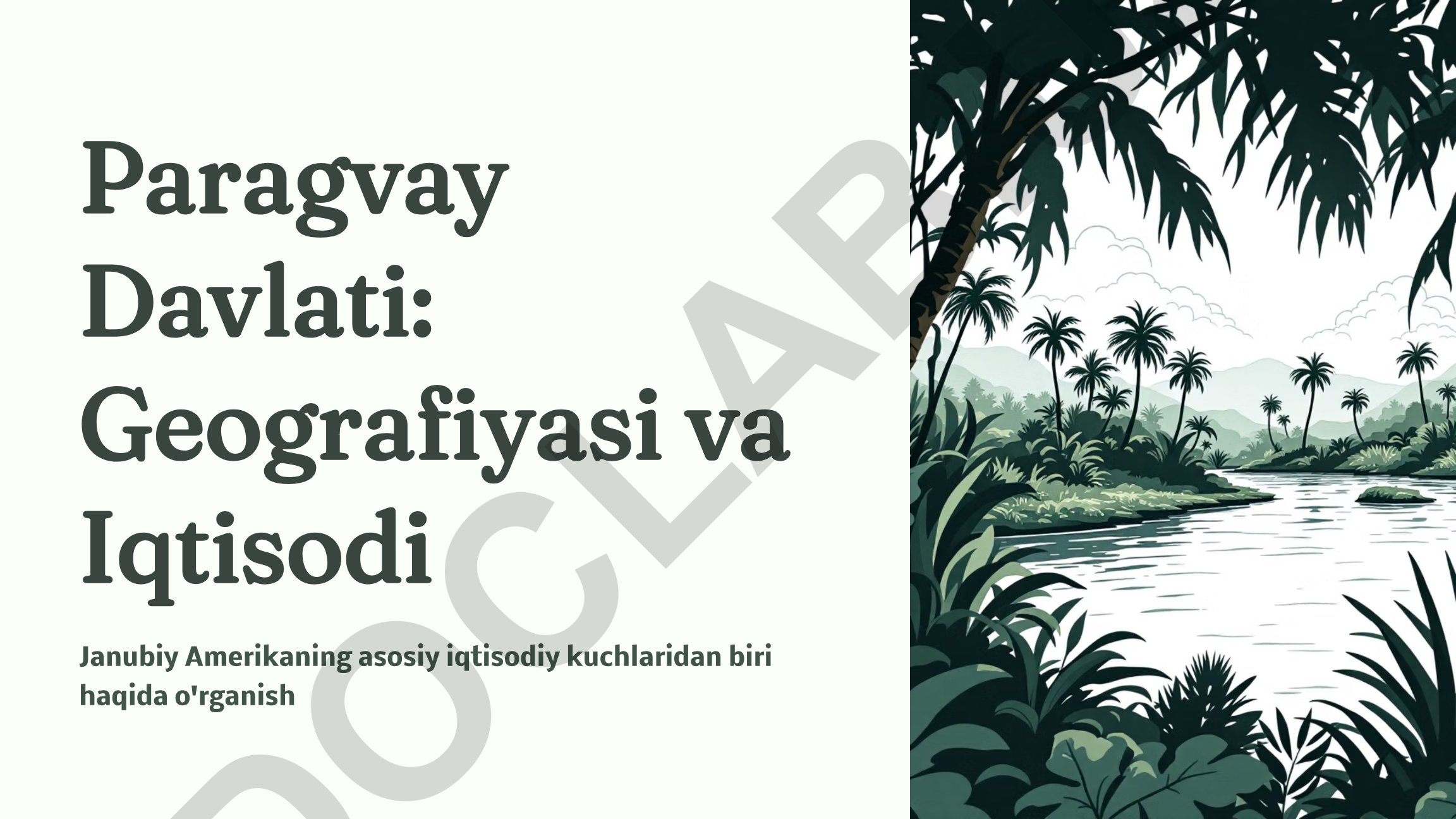 Paragvay Davlati: Geografiyasi va Iqtisodi
