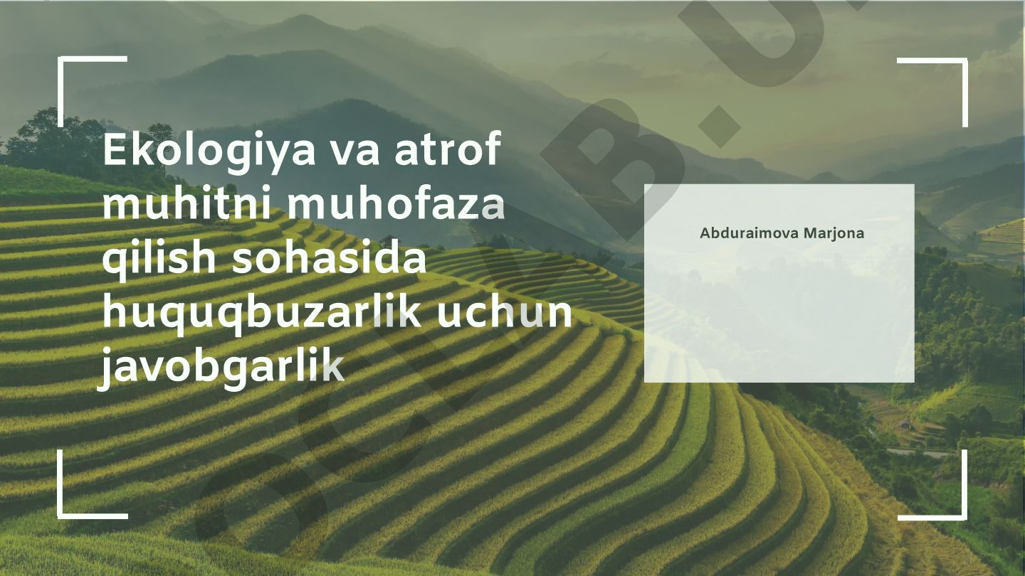 Ekologiya va atrof muhitni muhofaza qilish sohasida huquqbuzarlik uchun javobgarlik