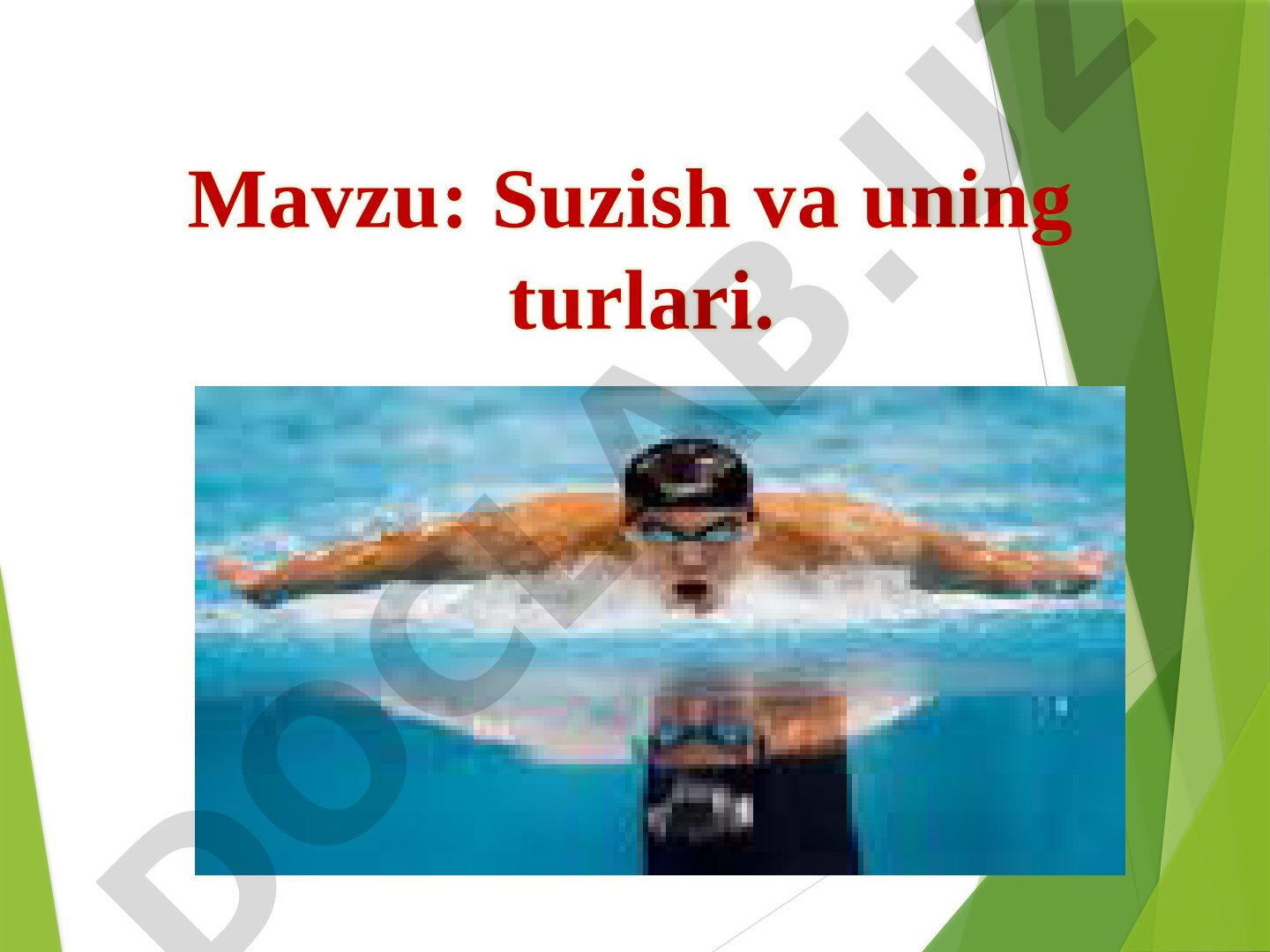 Suzish va uning turlari