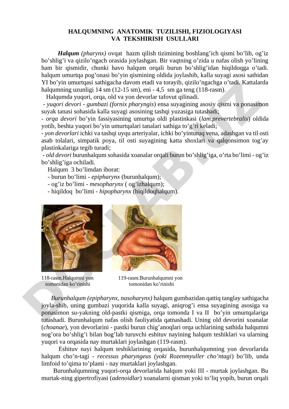 Halqumning anatomik tuzilishi, fiziologiyasi va tekshirish usullari