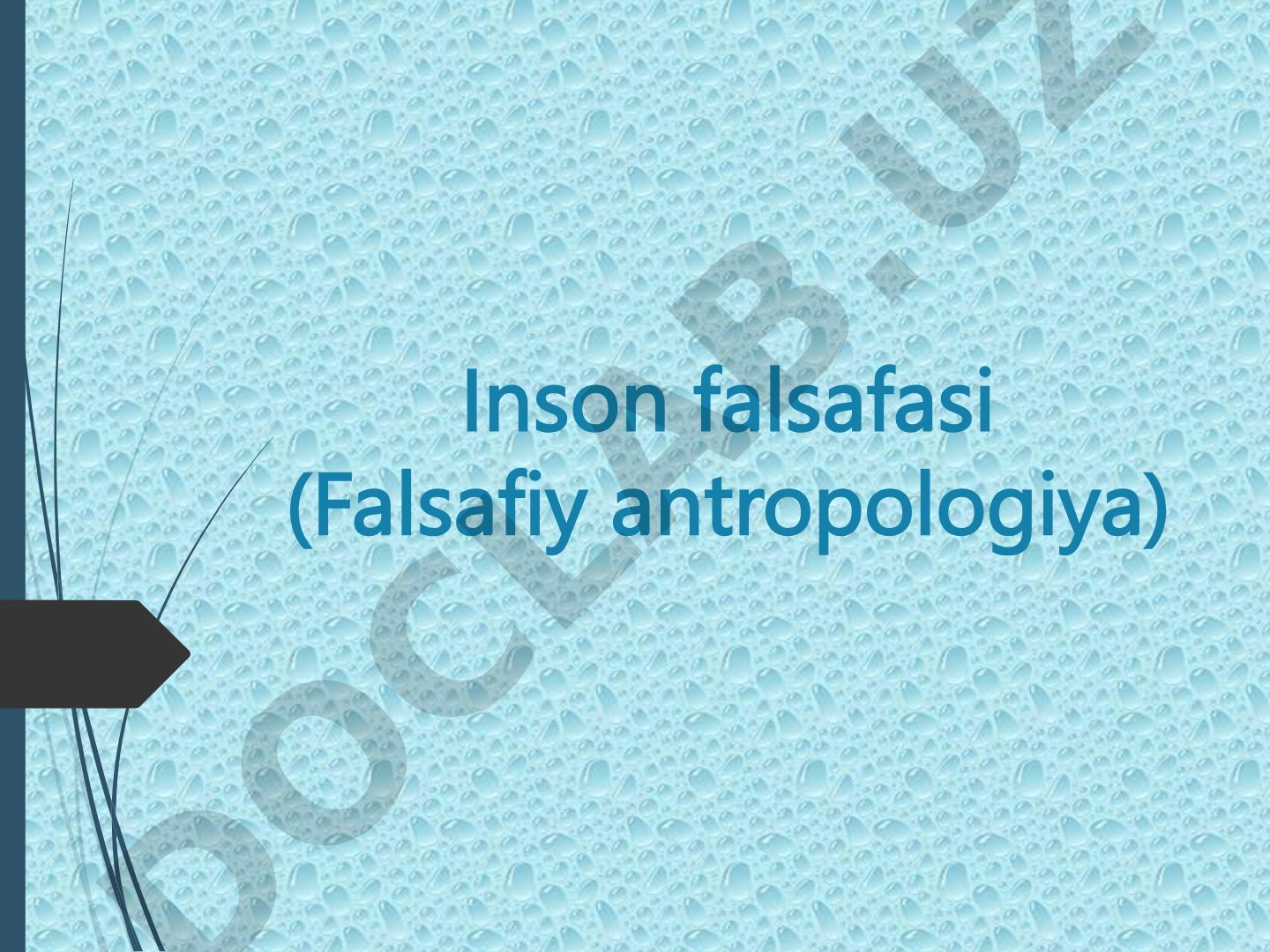Inson falsafasi (Falsafiy antropologiya)