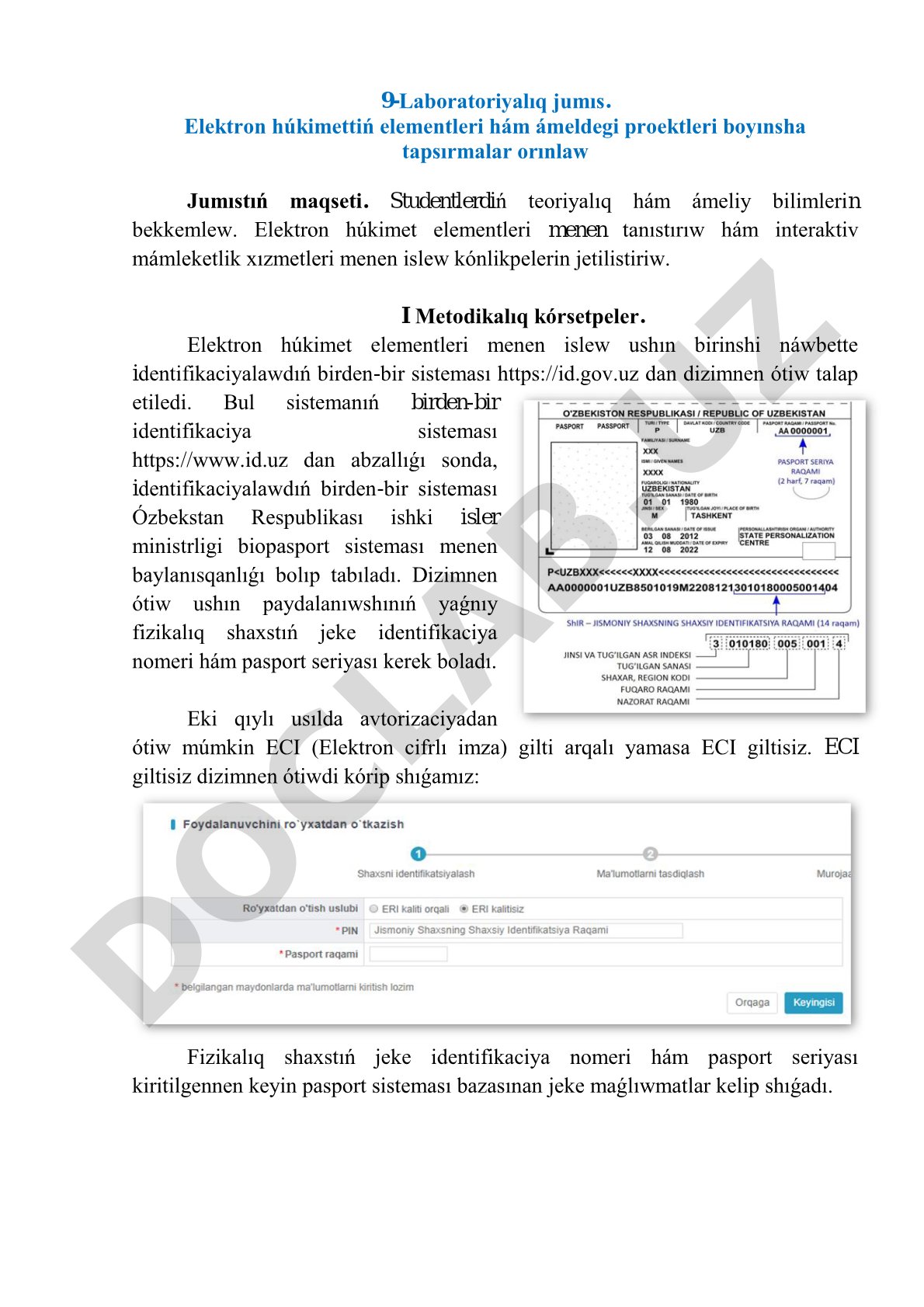 Elektron húkimettiń elementleri hám ámeldegi proektleri