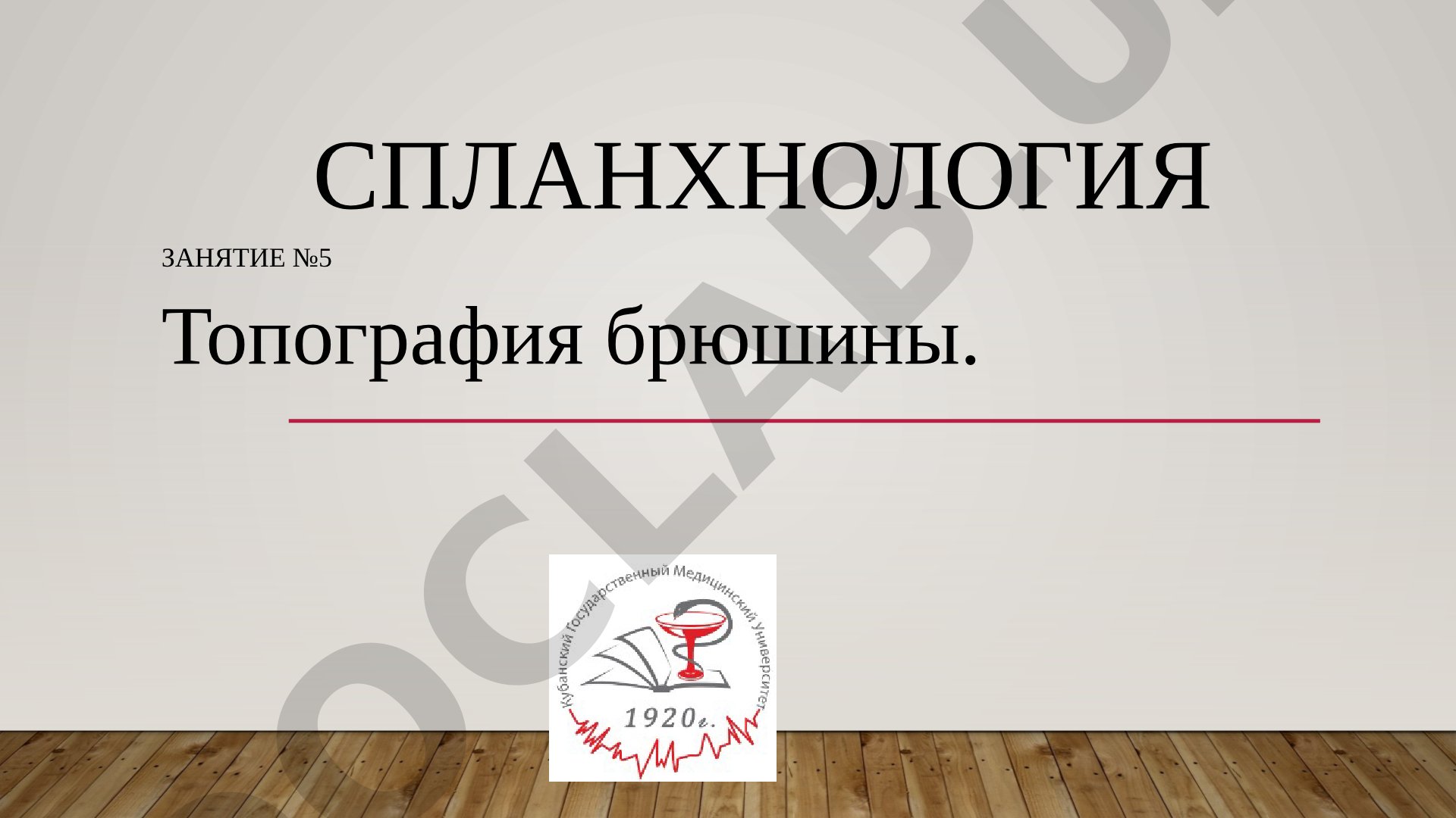 Спланхнология Занятие №5 Топография брюшины