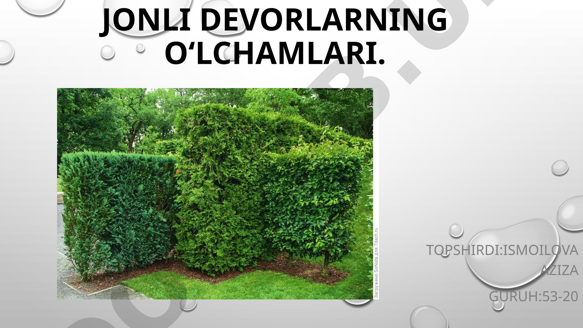 Uch turdagi o'simlik to'siqlari: chegaralar, kirpi va tirik devorlar