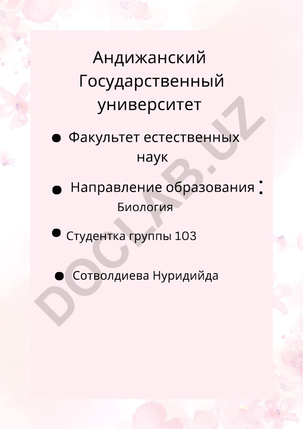 Наречие как самостоятельная часть речи в русском языке