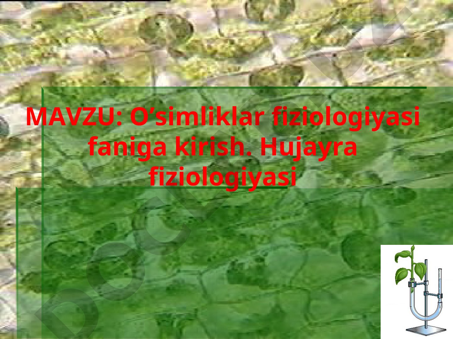 O'simliklar fiziologiyasi faniga kirish. Hujayra fiziologiyasi