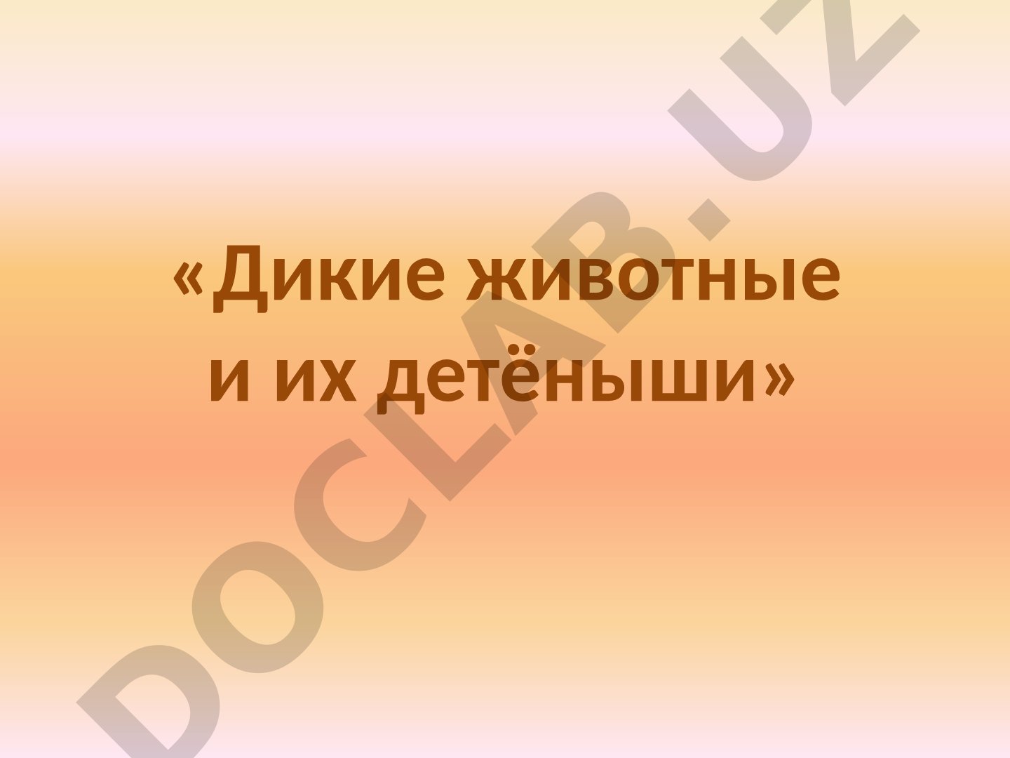 Дикие животные и их детёныши