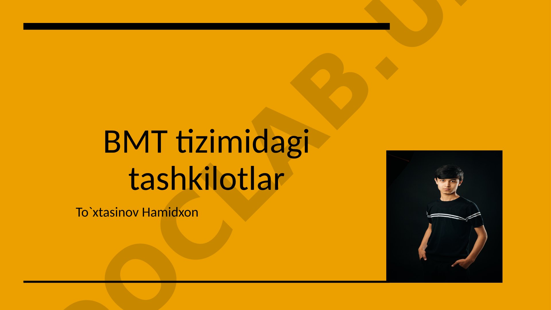 BMT tizimidagi tashkilotlar