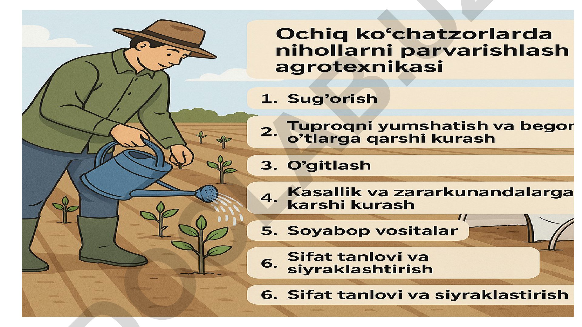 Ochiq ko‘chatzorlarda nihollarni parvarishlash agrotexnikasi