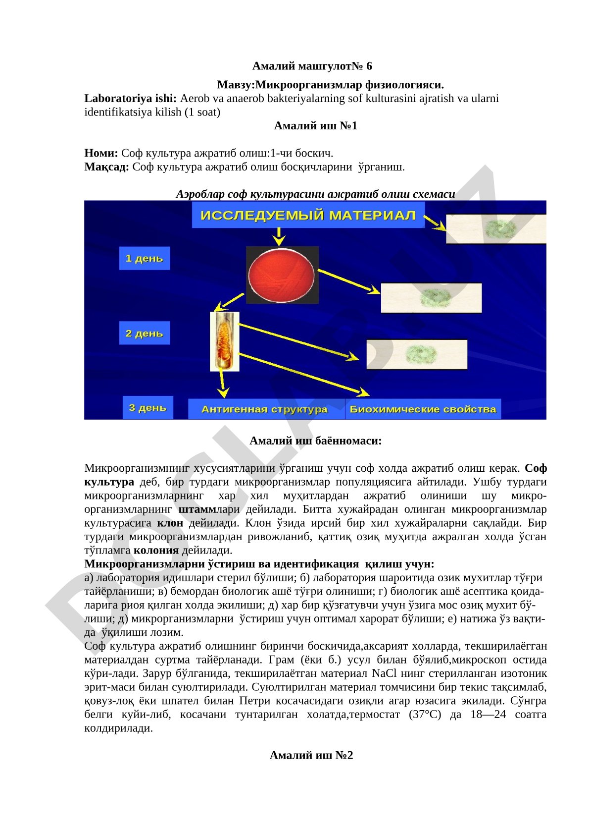 Микроорганизмлар физиологияси. Aerob va anaerob bakteriyalarning sof kulturasini ajratish va ularni identifikatsiya kilish