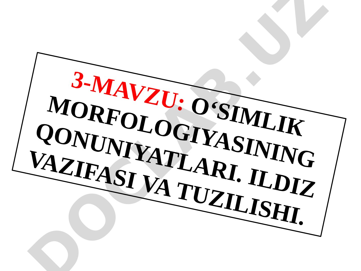 O'simlik morfologiyasining qonuniyatlari. Ildiz vazifasi va tuzilishi