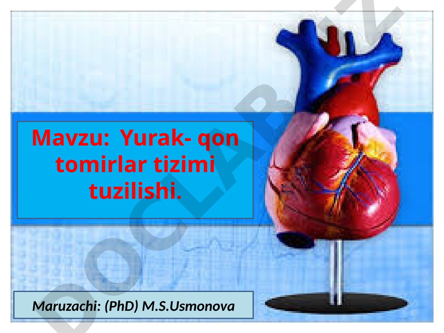 Yurak- qon tomirlar tizimi tuzilishi
