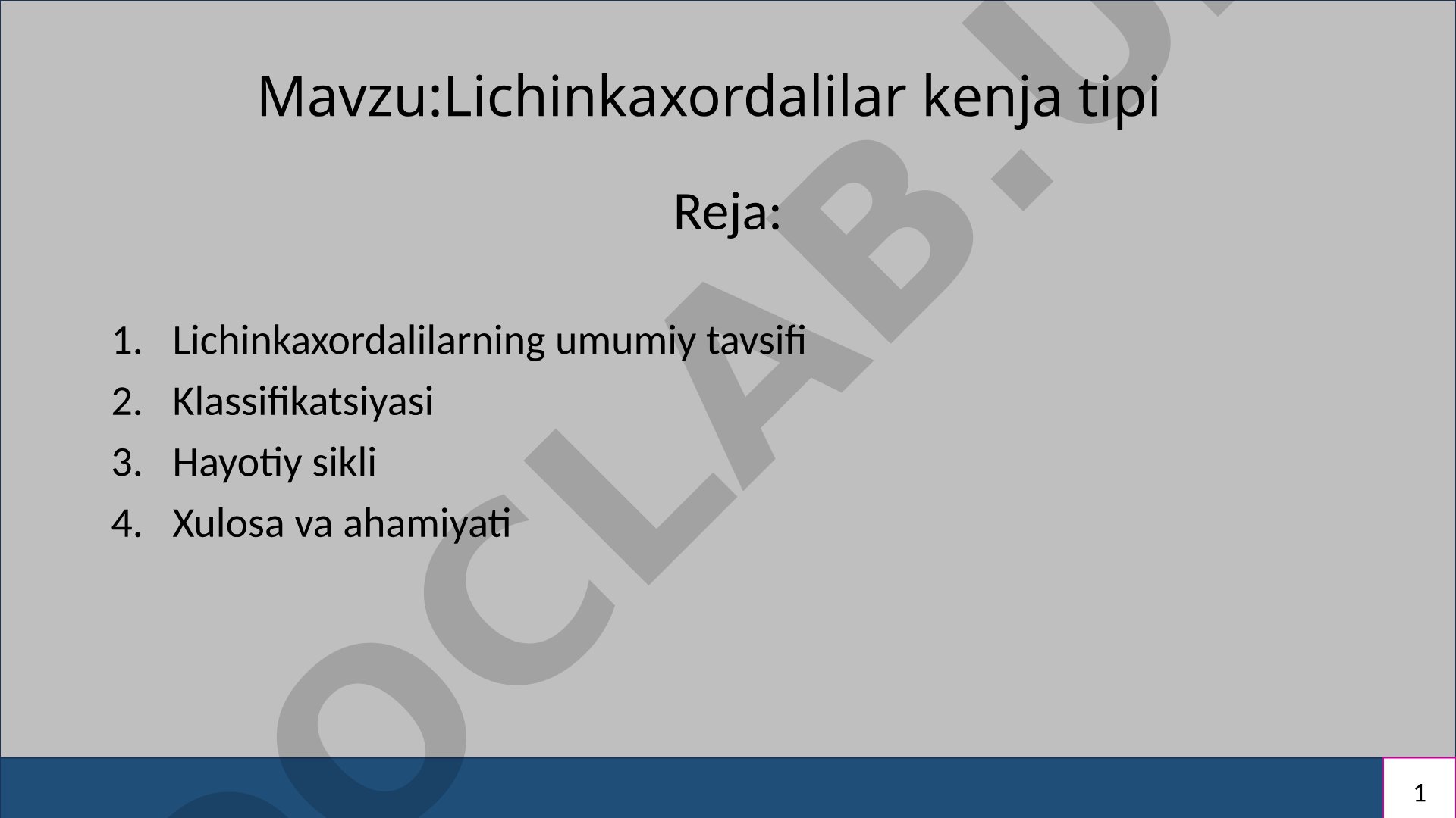 Lichinkaxordalilar kenja tipi