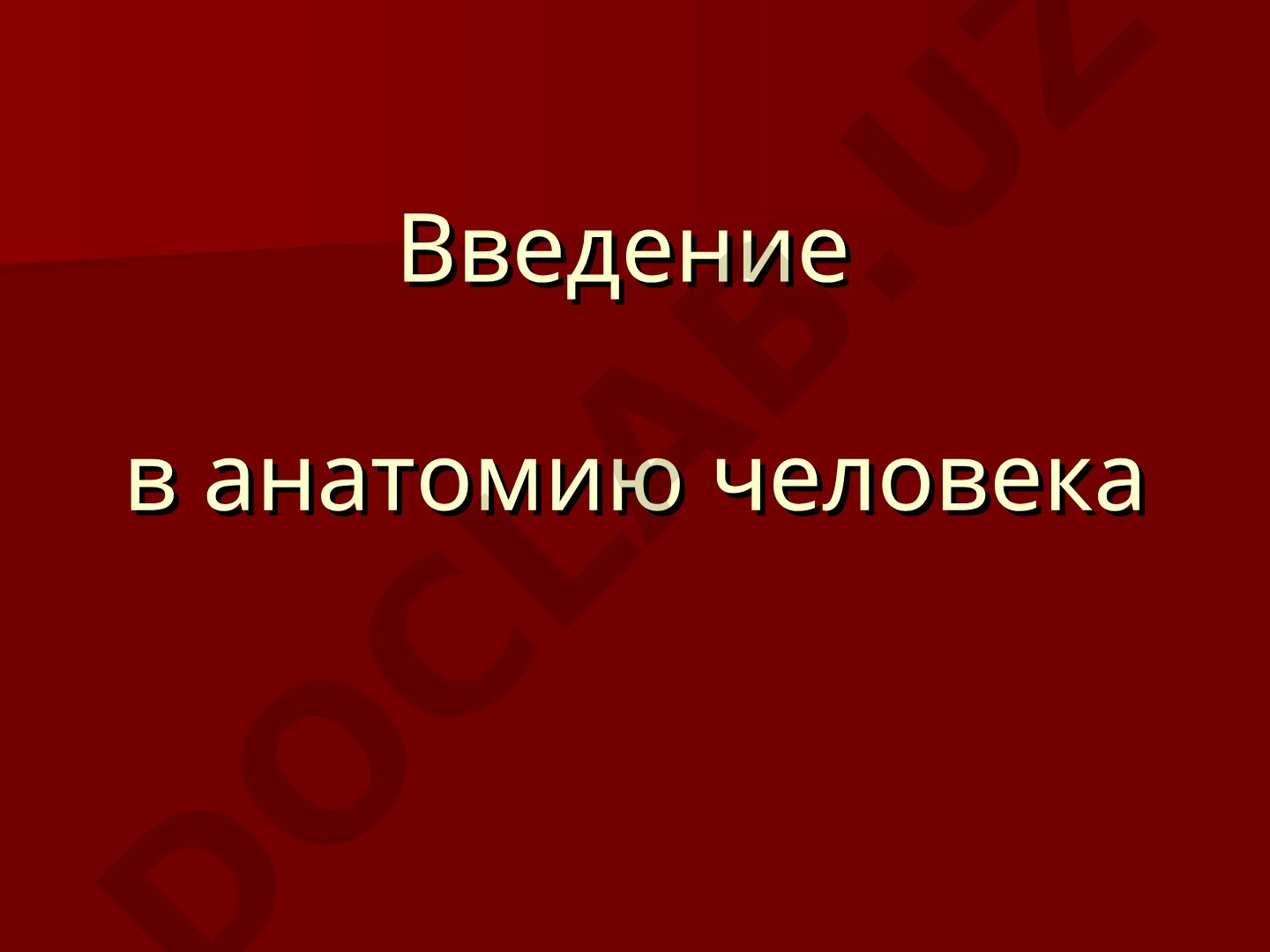 Введение в анатомию человека