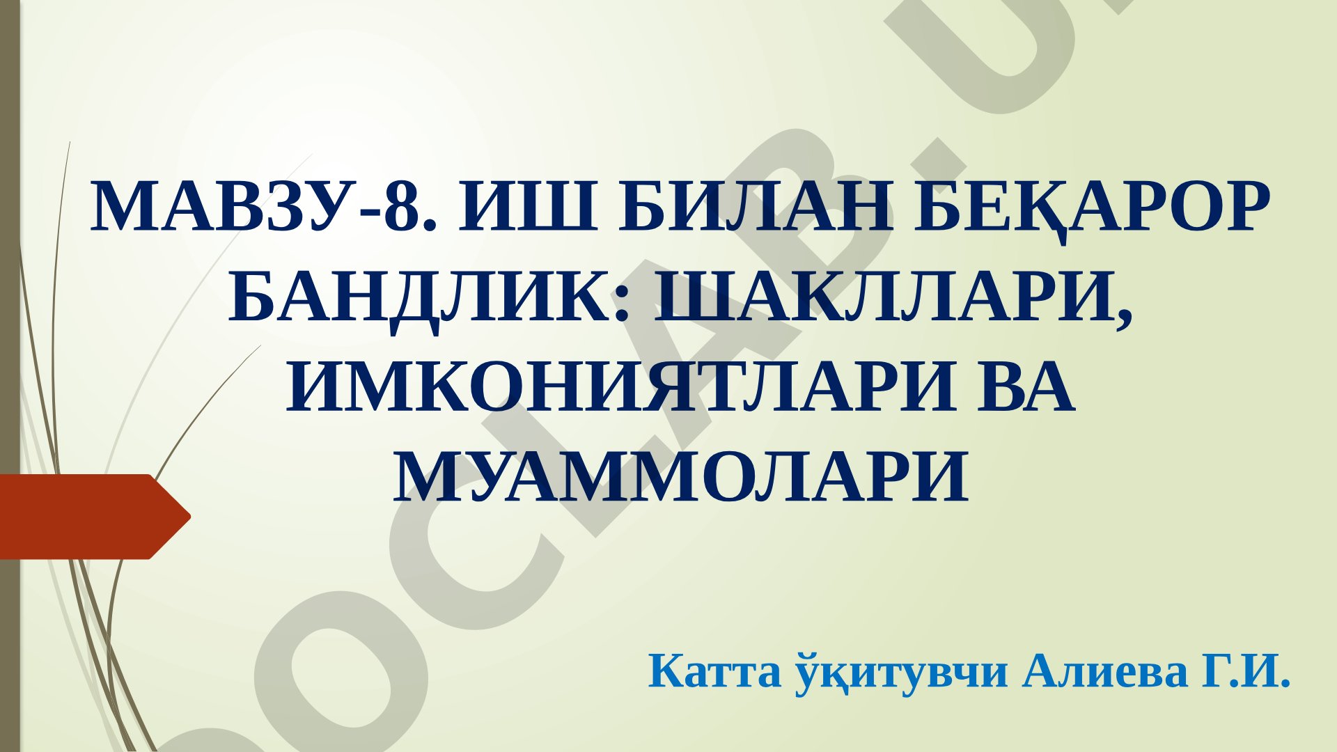 Иш билан беқарор бандлик: шакллари, имкониятлари ва муаммолари