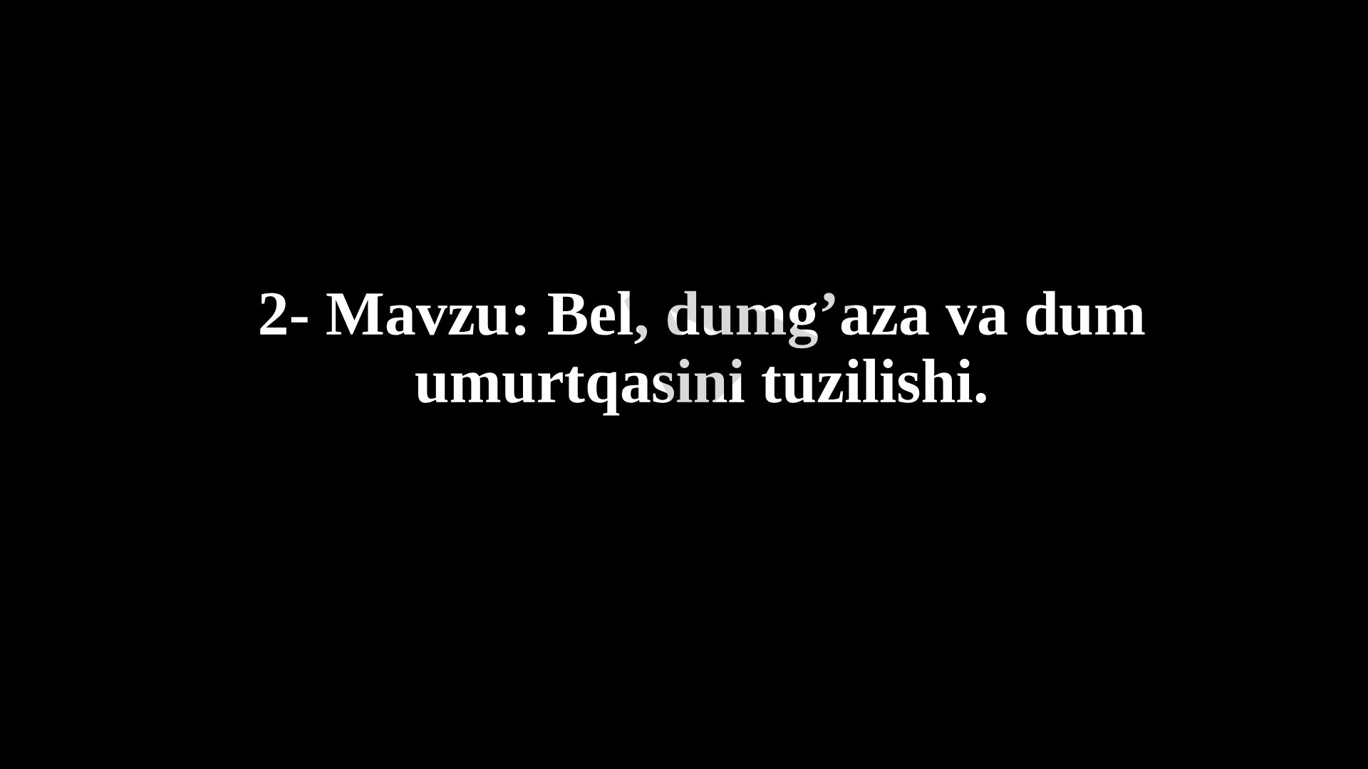Bеl, dumg’aza va dum umurtqasini tuzilishi