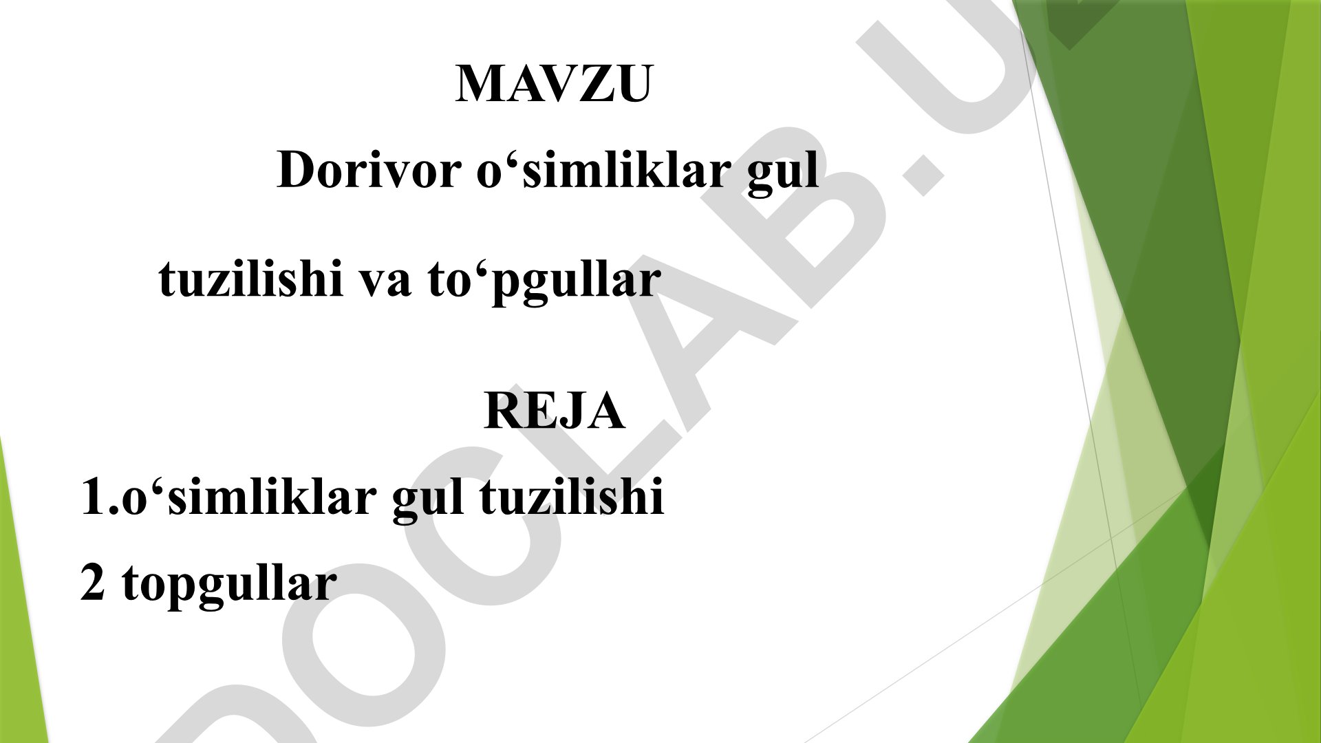 Dorivor o‘simliklar gul tuzilishi va to‘pgullar