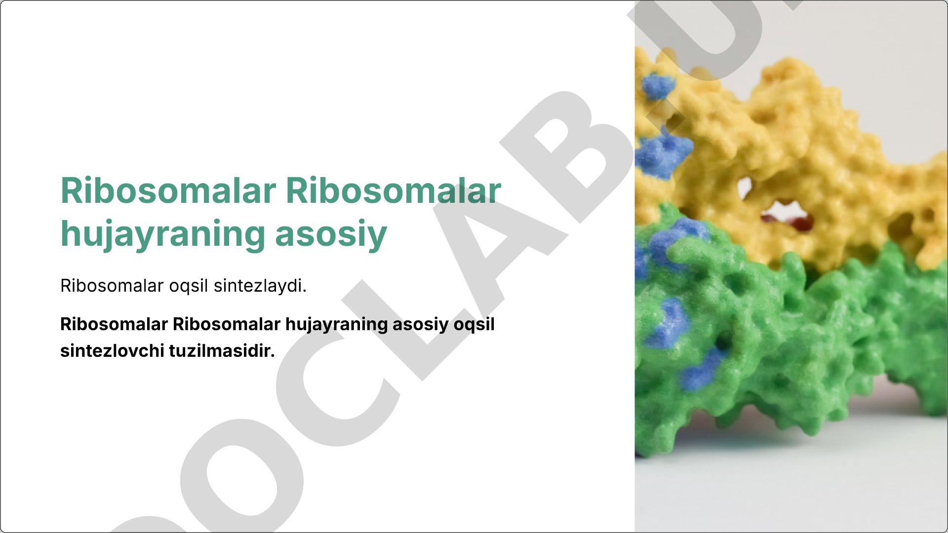 Hujayra organoidlari: ribosomalar va lizosomalar