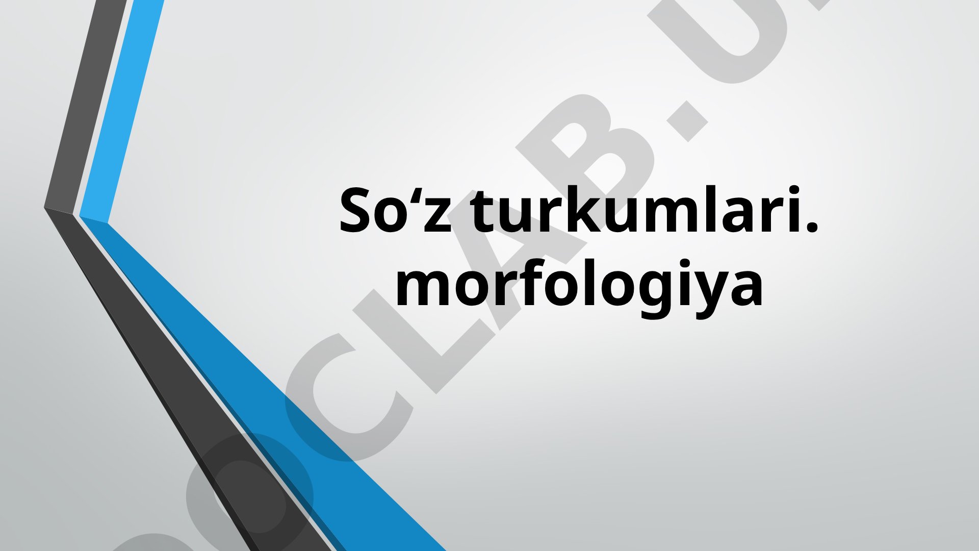 So‘z turkumlari va morfologiya