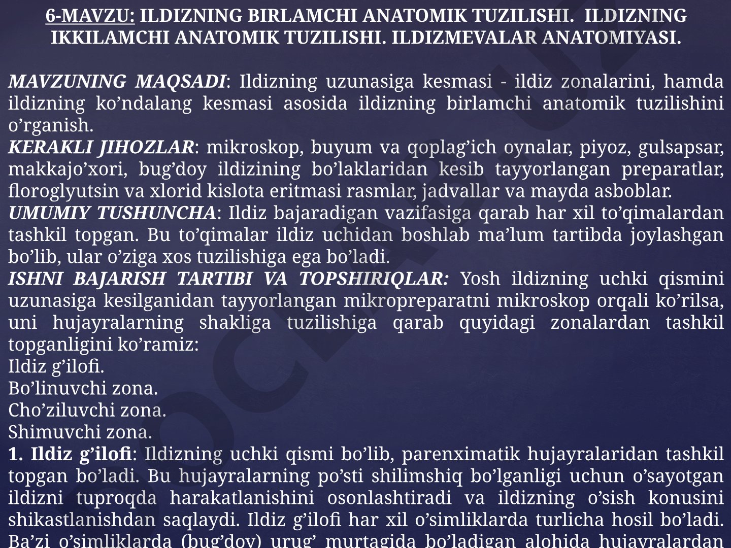 Ildizning birlamchi anatomik tuzilishi. Ildizning ikkilamchi anatomik tuzilishi. Ildizmevalar anatomiyasi