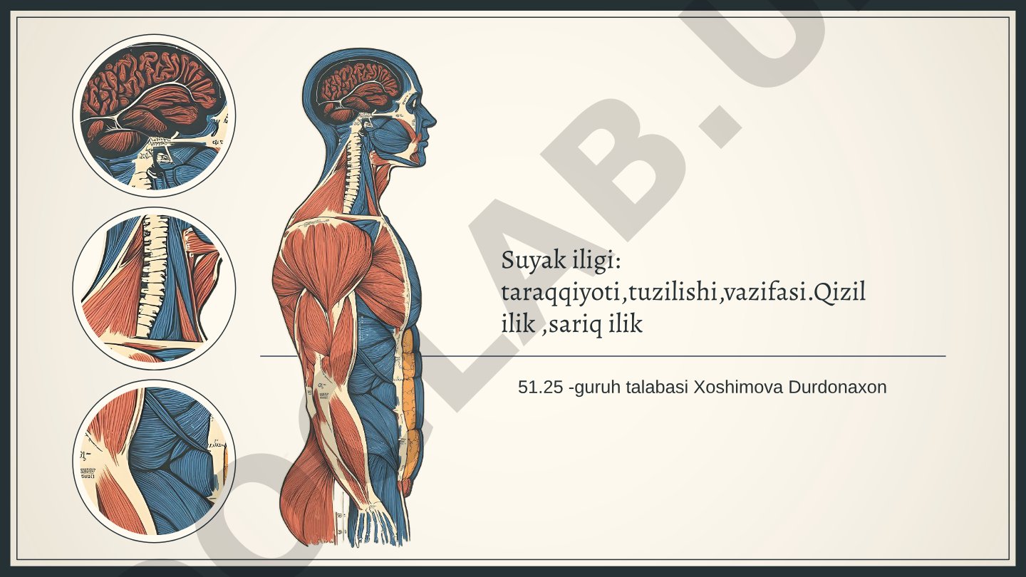 Suyak iligi: taraqqiyoti,tuzilishi,vazifasi.Qizil ilik ,sariq ilik