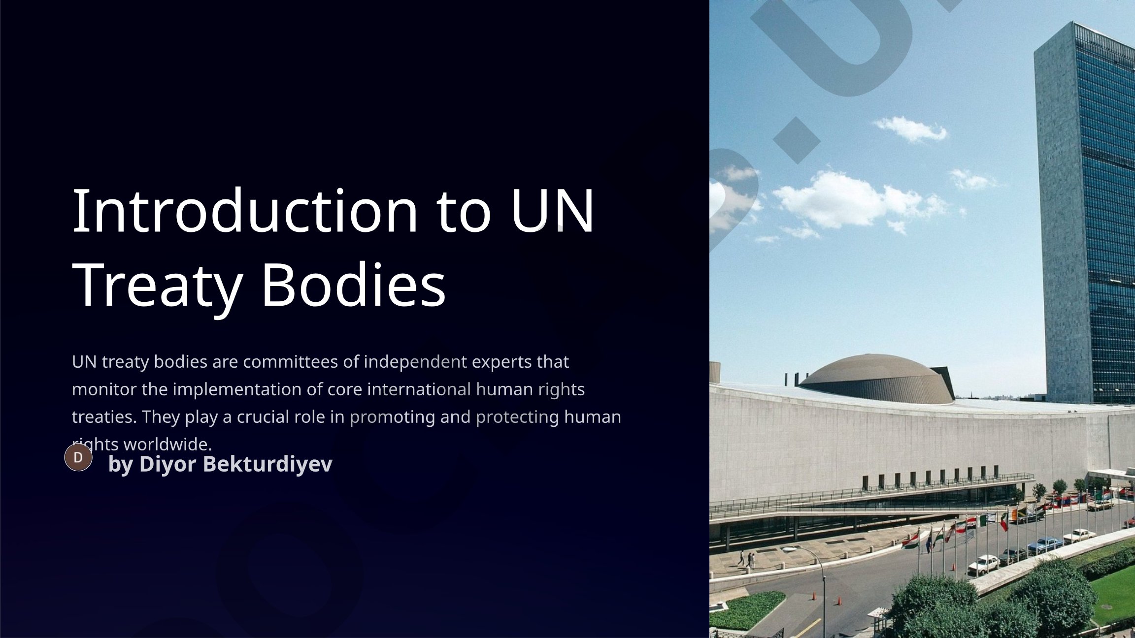 Introduction to UN Treaty Bodies