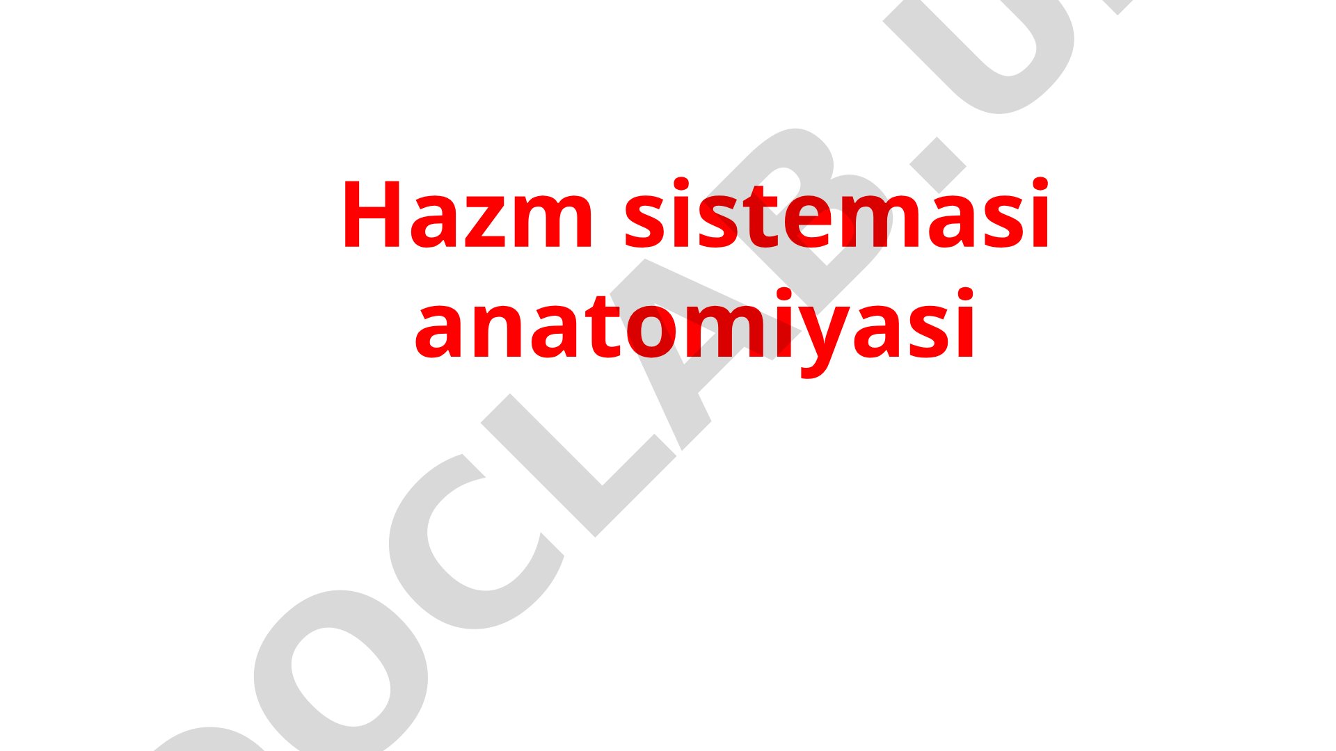 O'zbekiston Respublikasi Konstitutsiyasi - Asosiy Qonuni