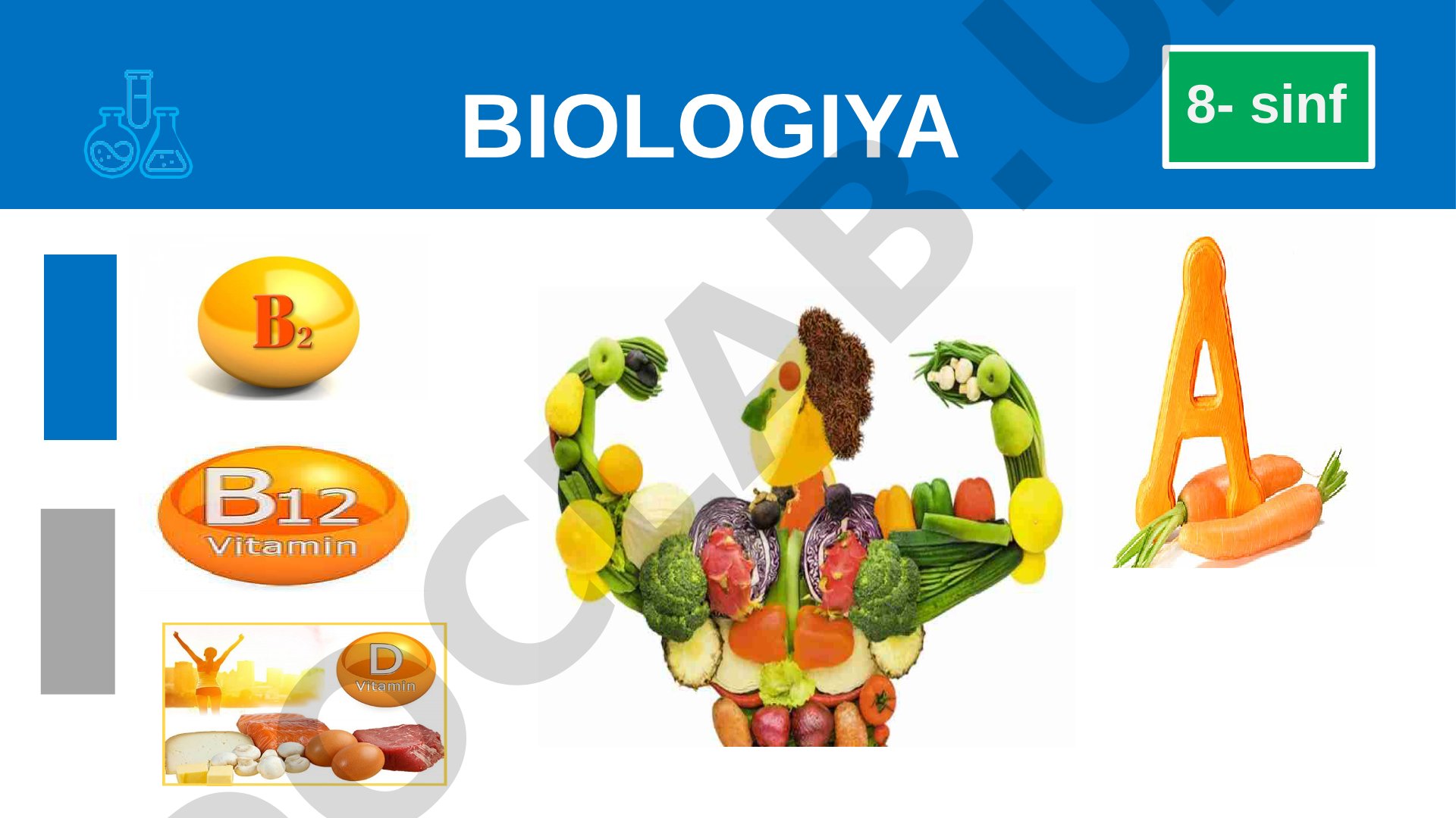 8-sinf biologiya: vitaminlar va A vitamini manbalari