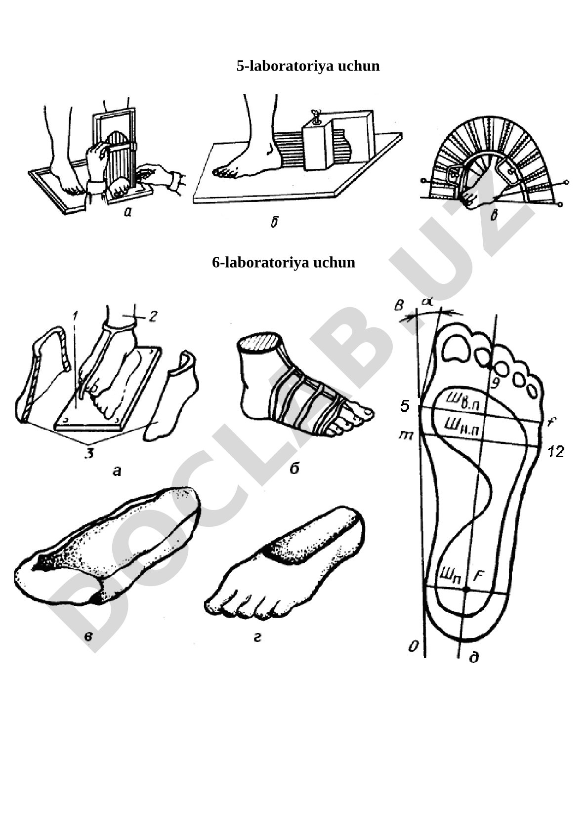 Laboratoriya ishlari uchun biomexanik taqsimlanish grafiklari