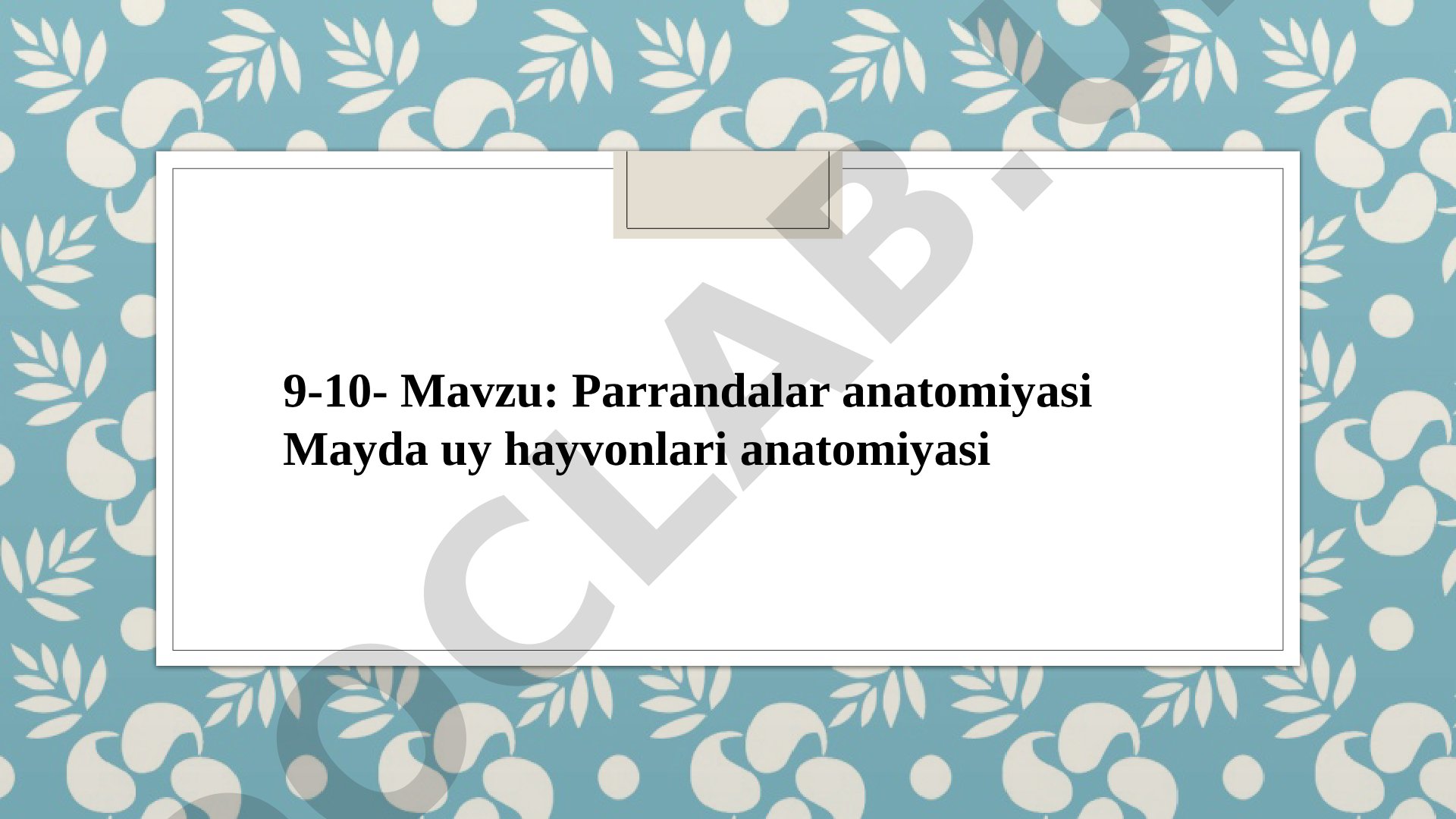Parrandalar anatomiyasi