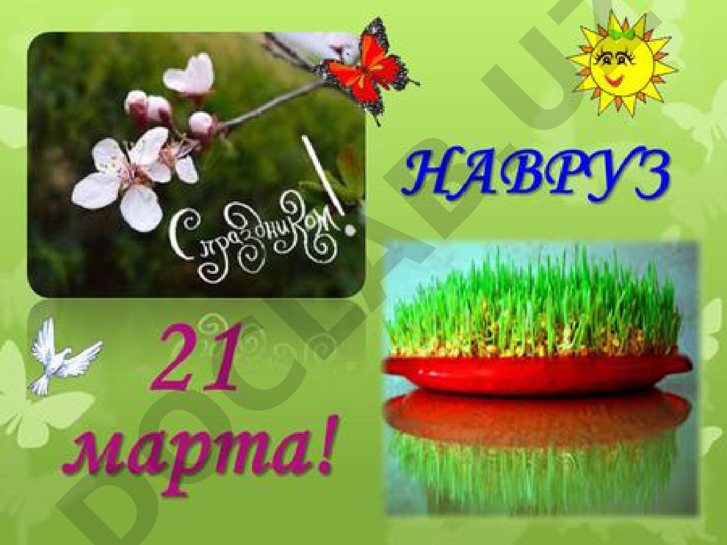 Navruz bayrami