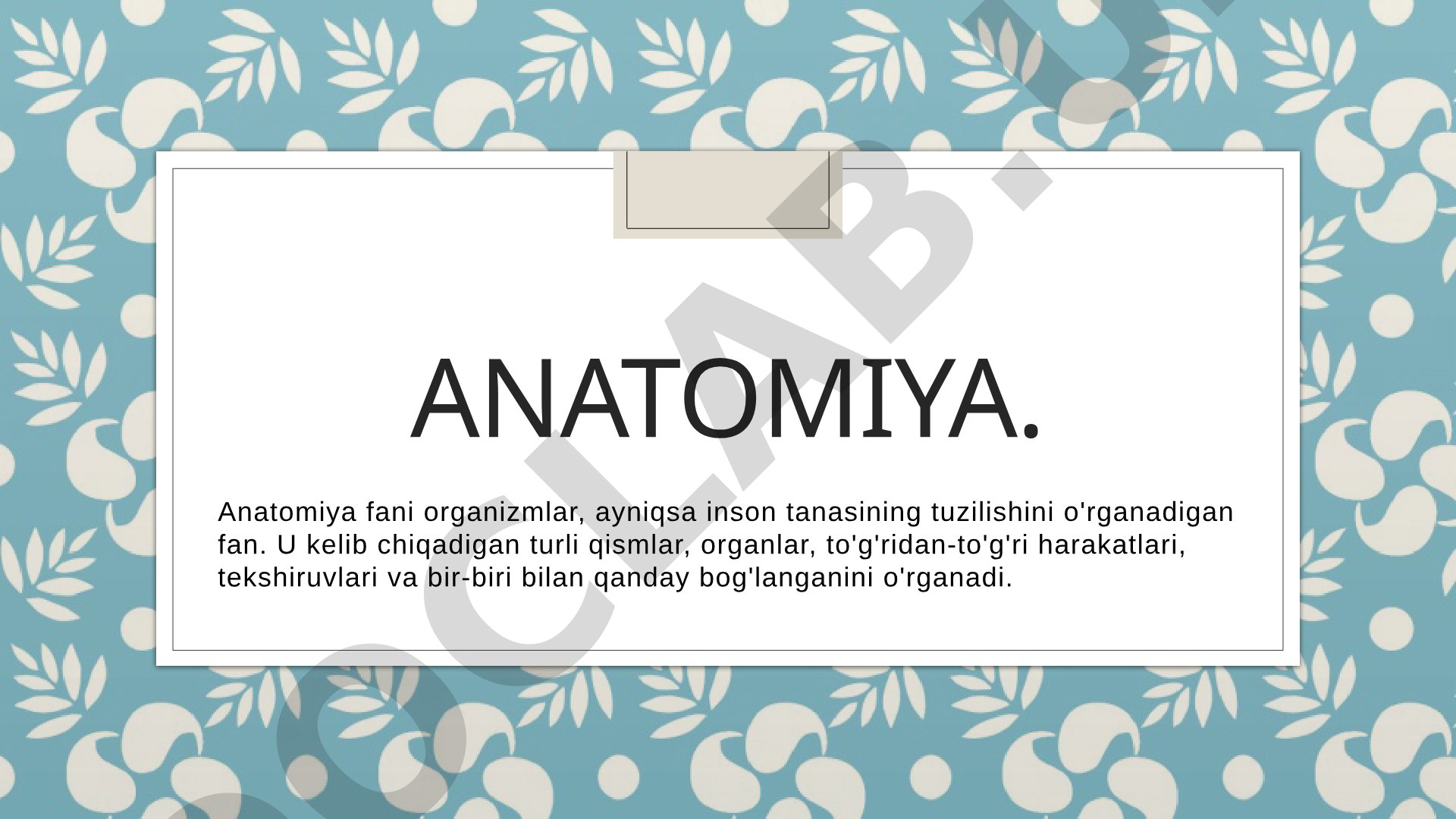 Anatomiya
