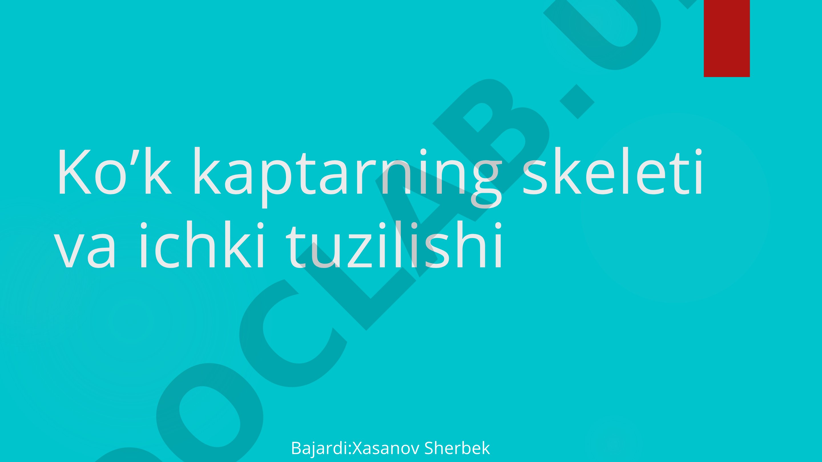 Ko'k kaptarning skeleti va ichki tuzilishi