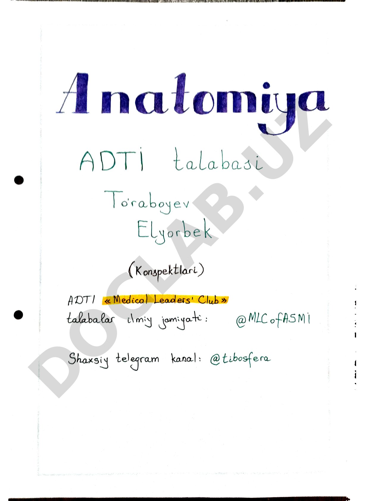 Anatomiya