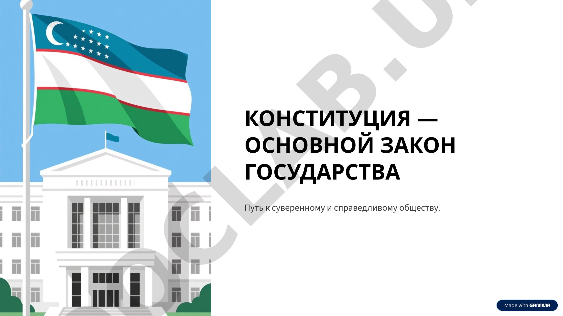 Конституция — основной закон государства