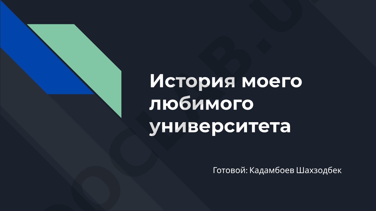 История моего любимого университета