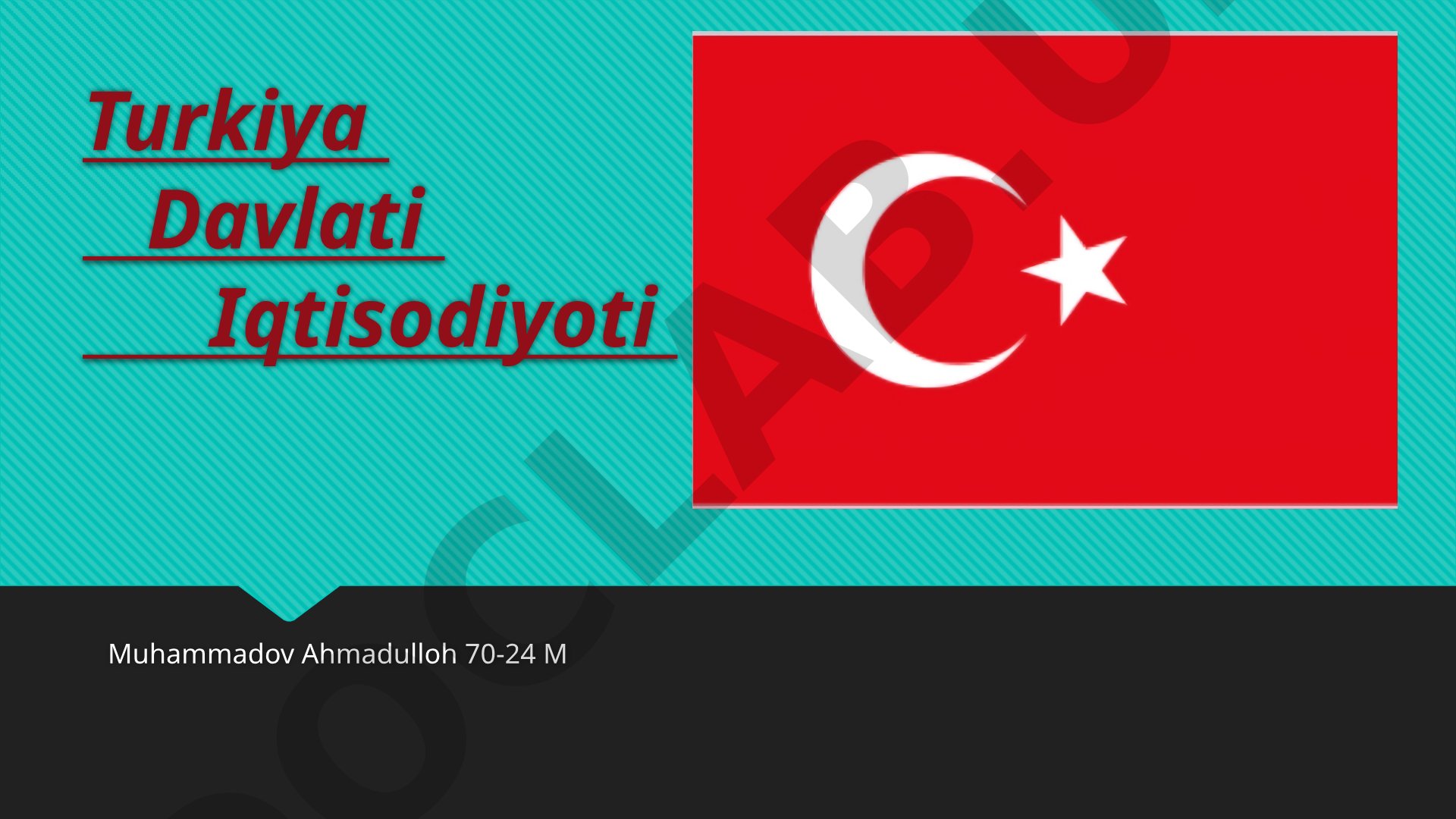 Turkiya iqtisodiyoti va asosiy tarmoqlari