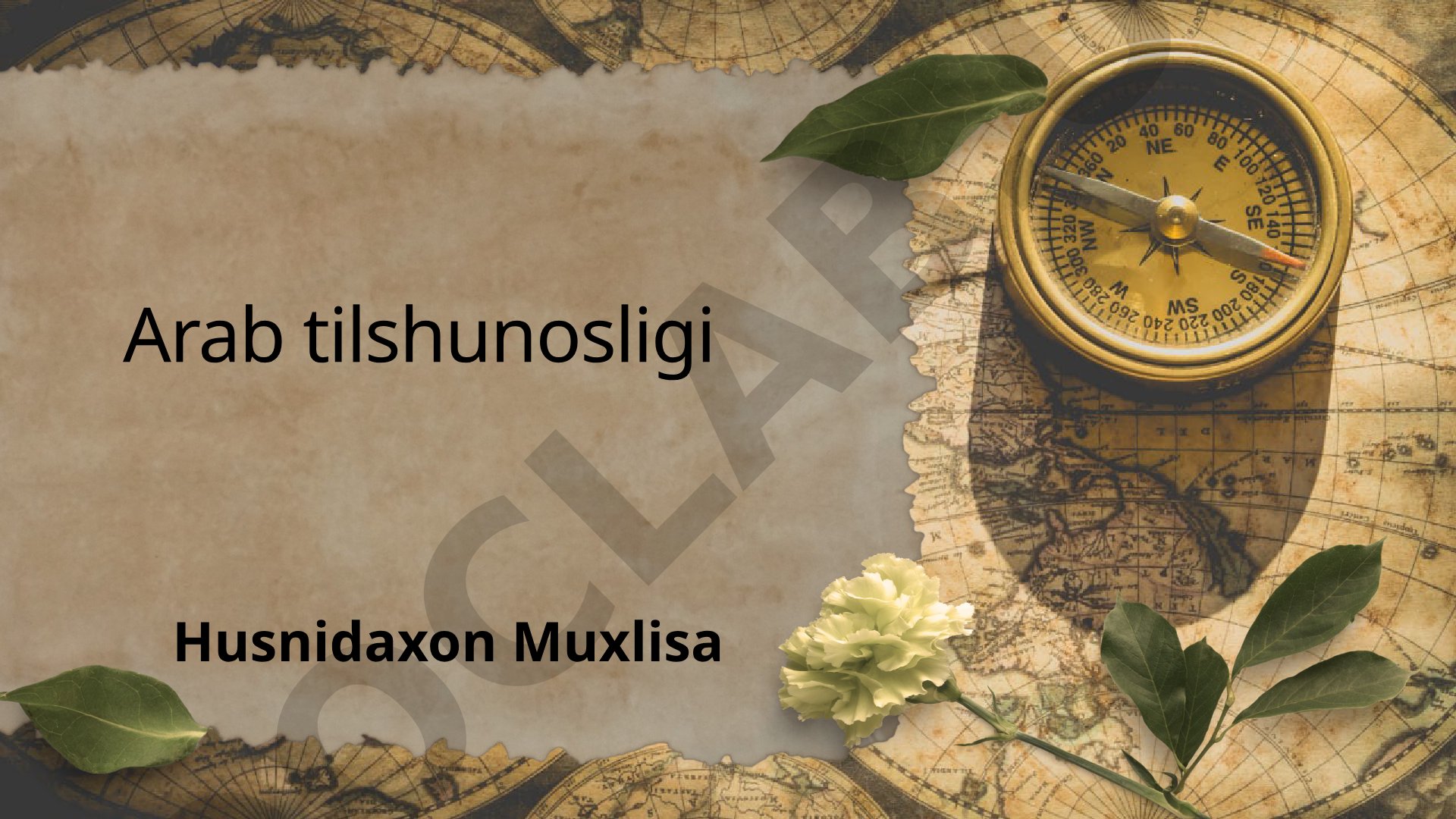 Arab tilshunosligi tarixi, xususiyatlari va dialektlari haqida taqdimot