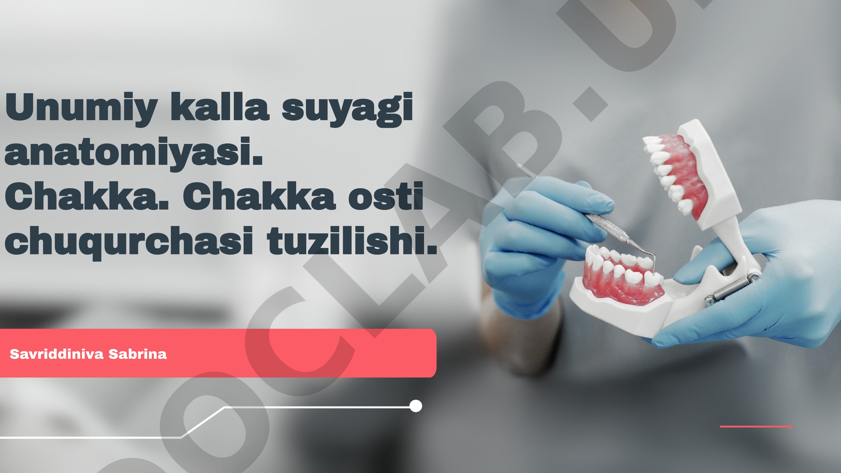 Unumiy kalla suyagi anatomiyasi. Chakka. Chakka osti chuqurchasi tuzilishi.