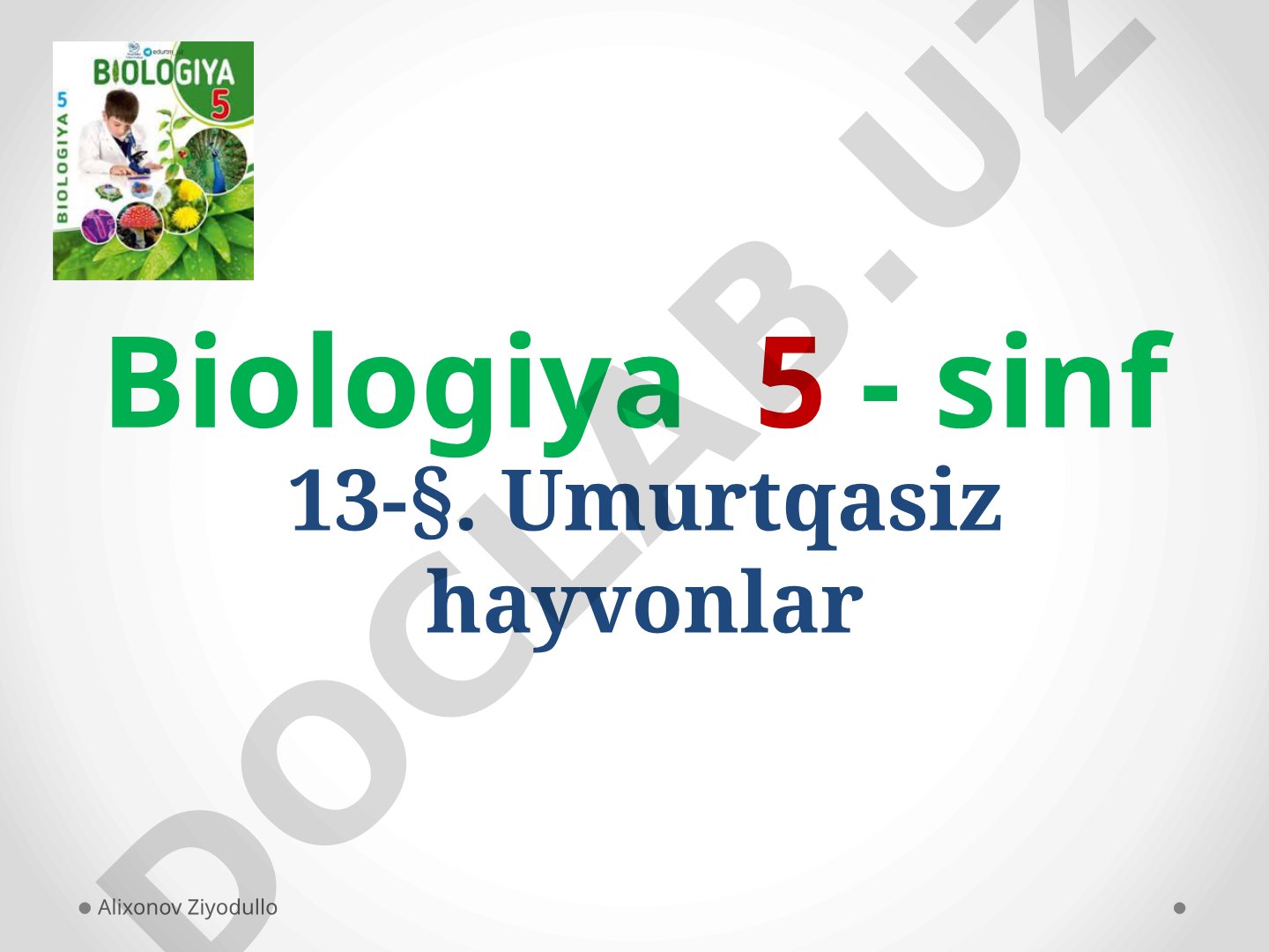 Umurtqasiz hayvonlar