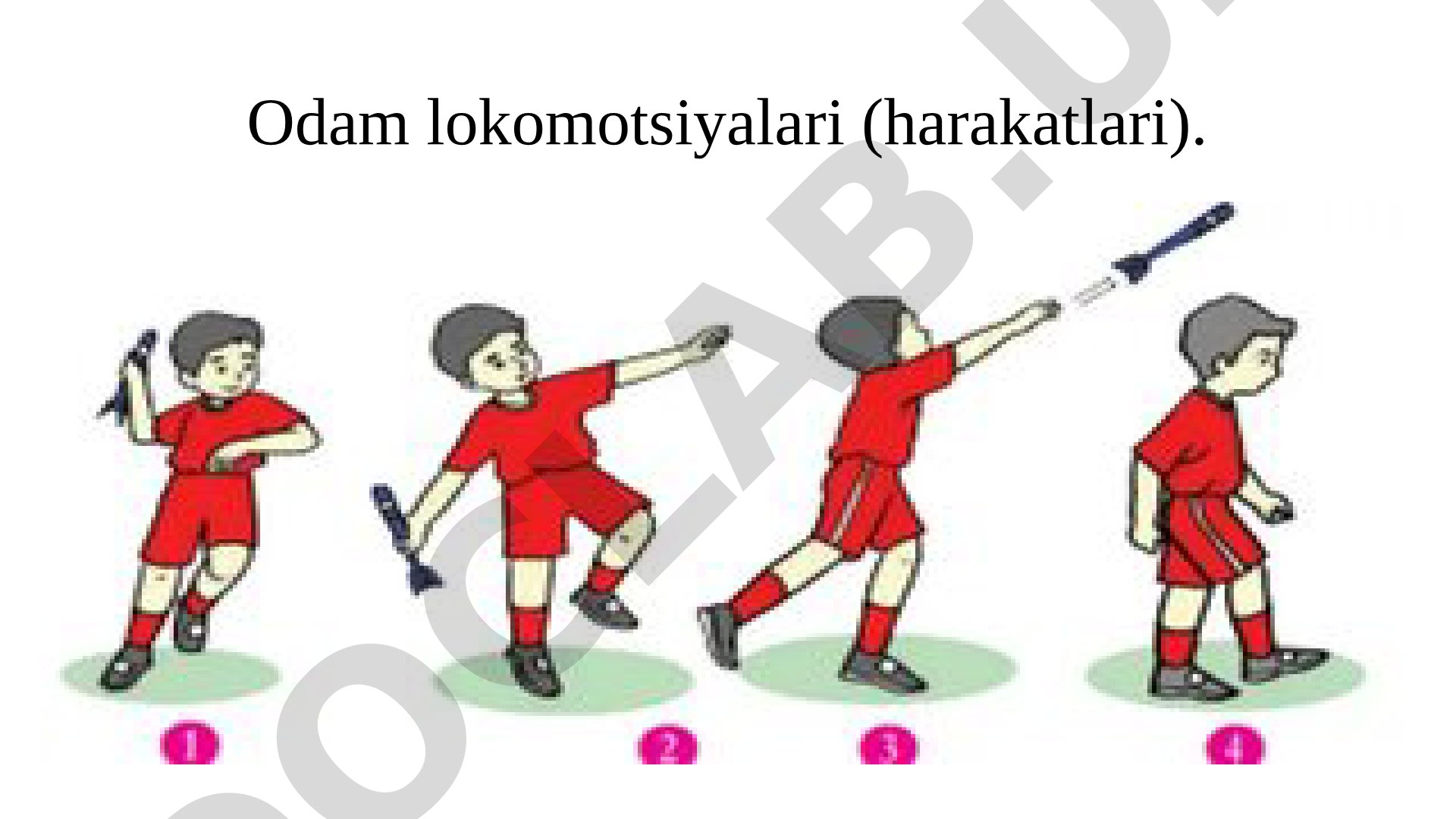 Odam lokomotsiyalari (harakatlari)