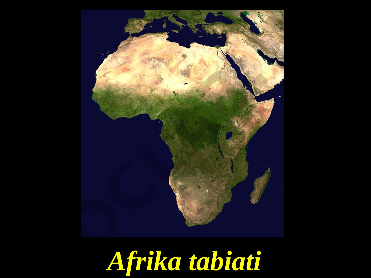 Afrika tabiati