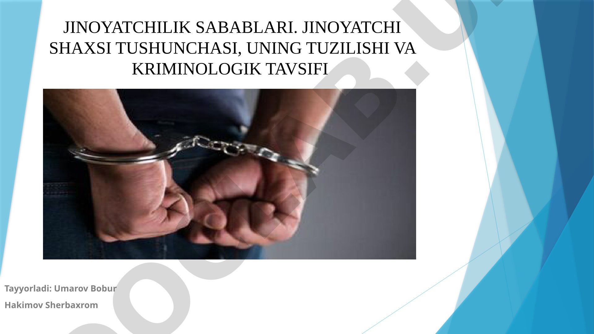 Jinoyatchilik sabablari. Jinoyatchi shaxsi tushunchasi, uning tuzilishi va kriminologik tavsifi