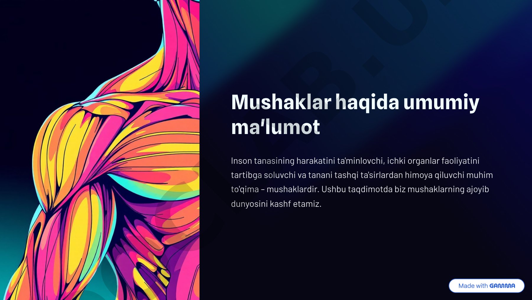 Mushaklar haqida umumiy ma'lumot