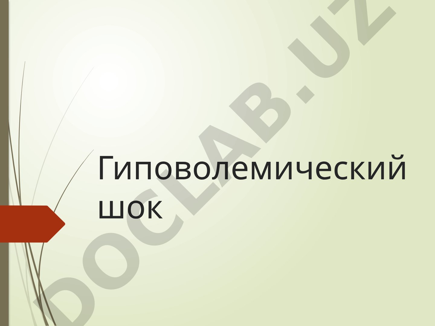 Гиповолемический шок