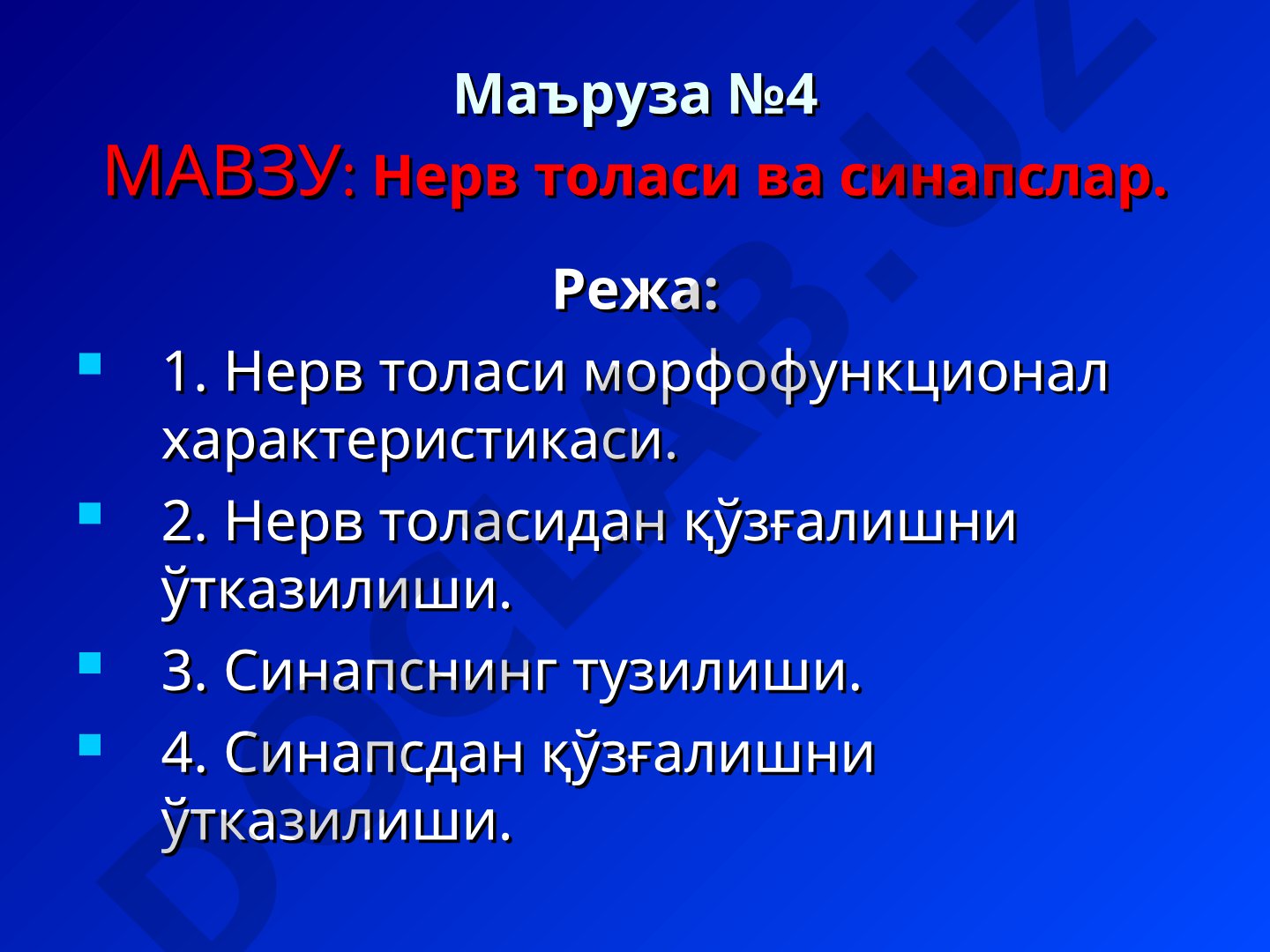 Нерв толаси ва синапслар