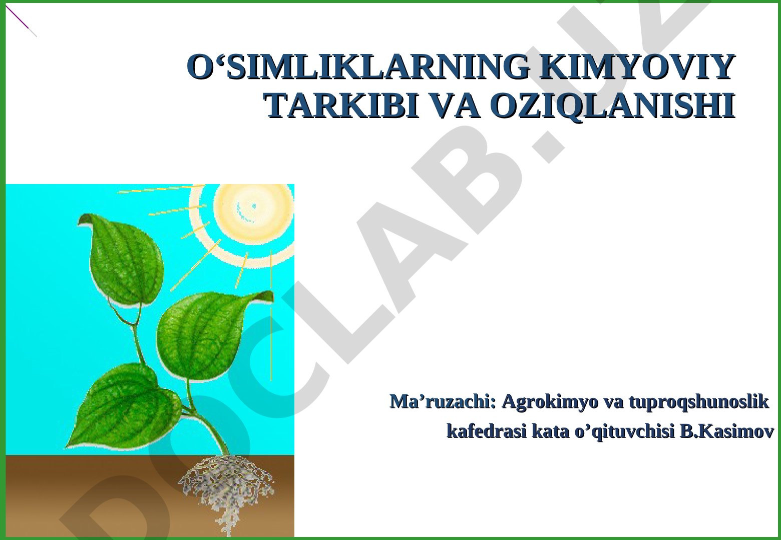 O'simliklarning kimyoviy tarkibi va oziqlanishi