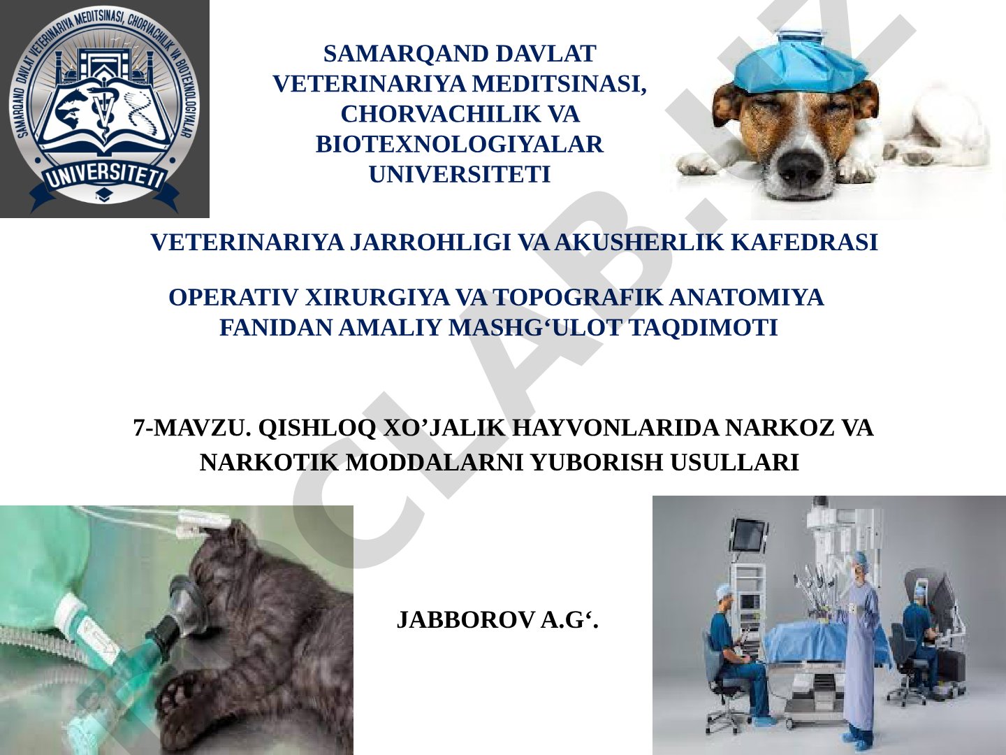 Qishloq xo'jalik hayvonlarida narkoz va narkotik moddalarni yuborish usullari